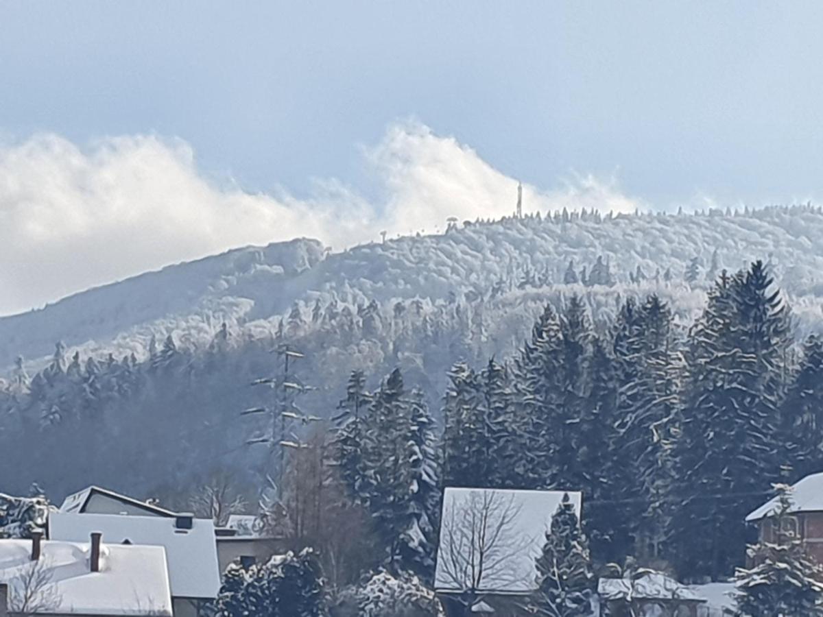 Domek Pod Krolowem Ustron Luaran gambar